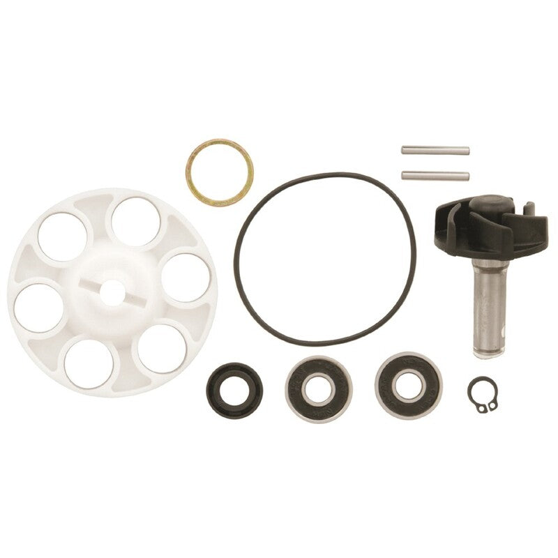 Set repara eje bomba de agua Minarelli Horizontal