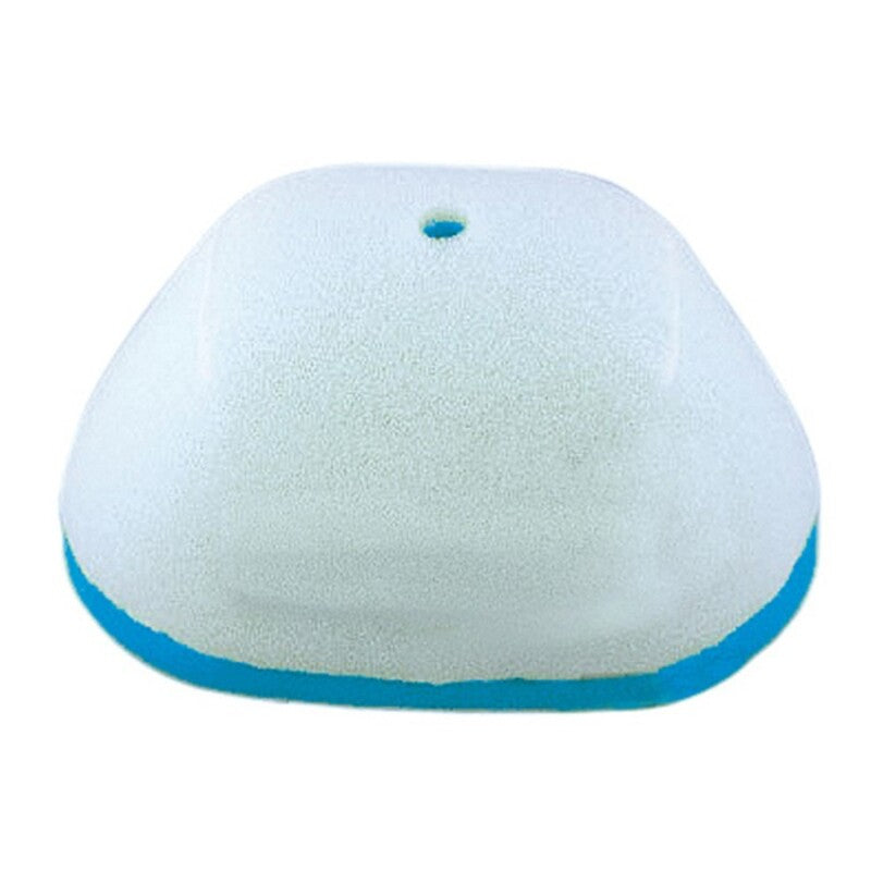 Filtro de aire TECNIUM YFM25RX (08-)