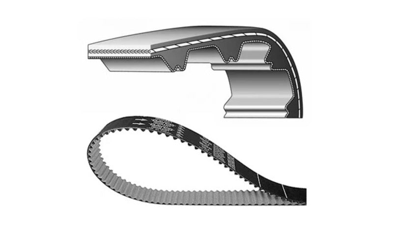 Correa de distribución DAYCO